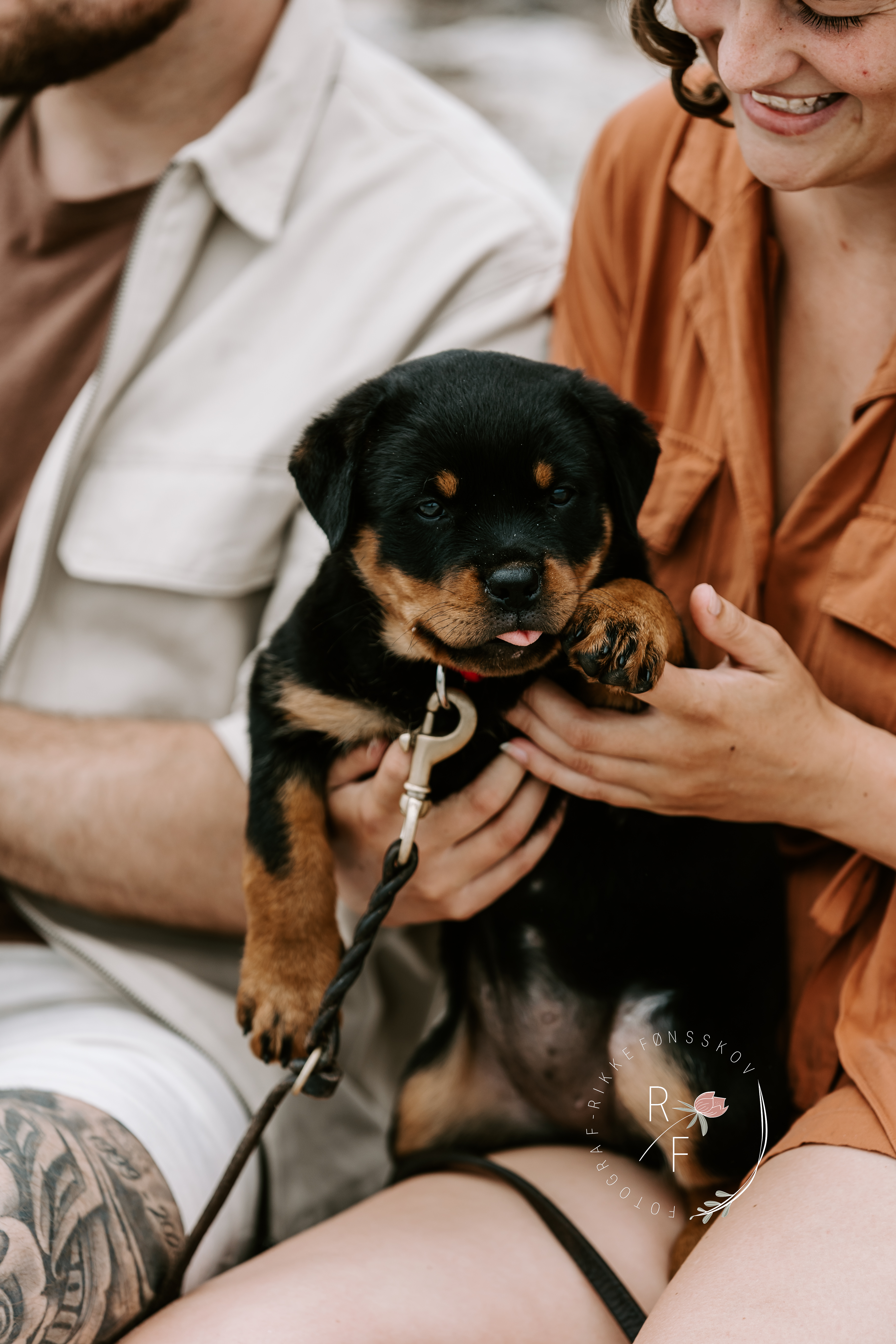 hund og familie