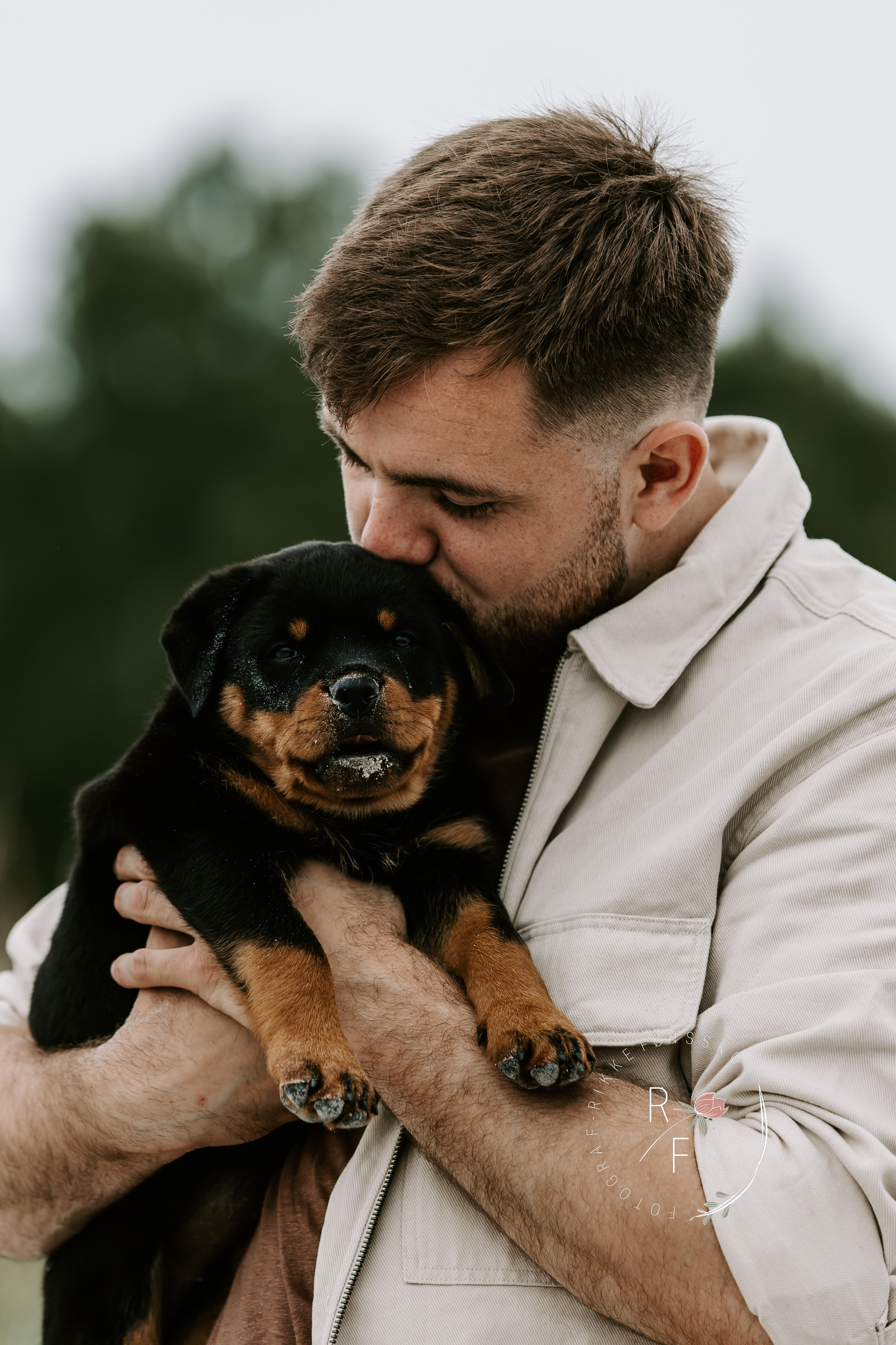 hundehvalp fotografering